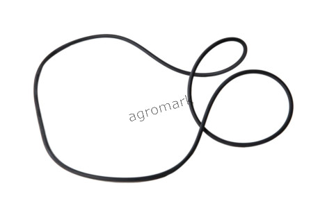 O-ring