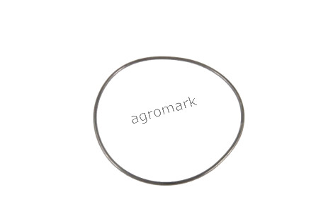 O-ring
