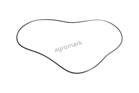 O-ring