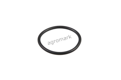 O-ring