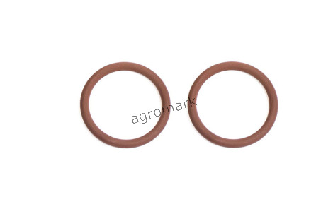 O-ring