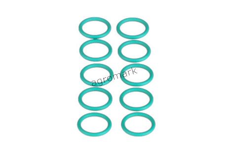 O-RING