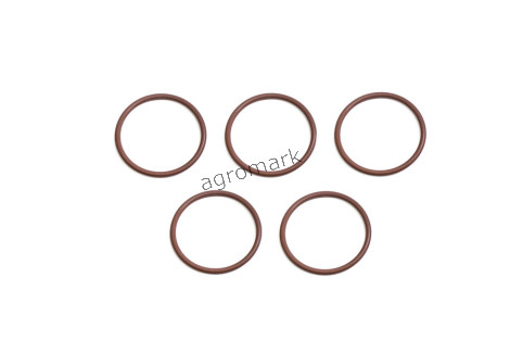 O-ring