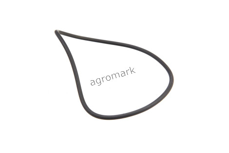 O-ring