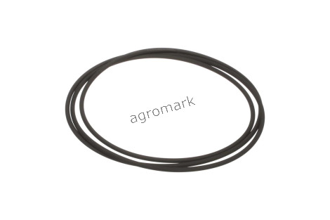 O-RING