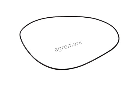 O-ring