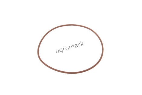 O-ring