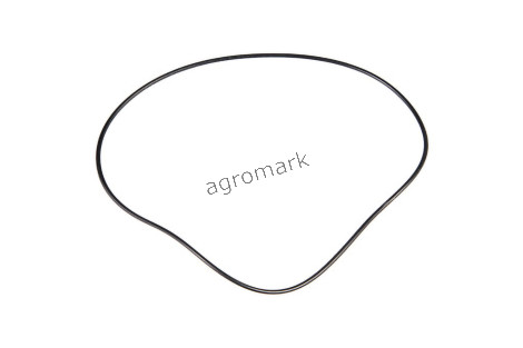 O-ring