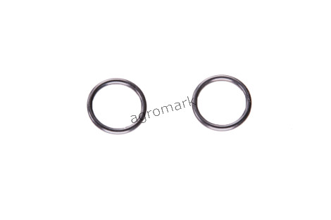 O-ring