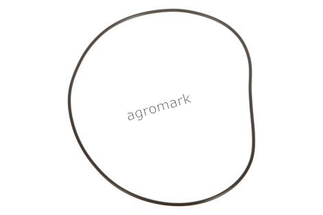 O-RING