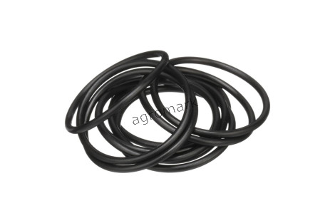 O-ring