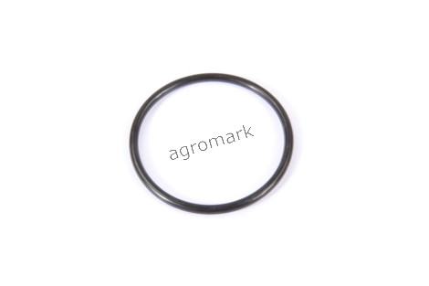O-ring