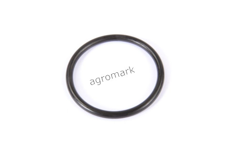O-ring