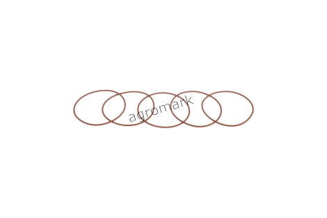 O-ring