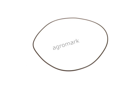 O-ring