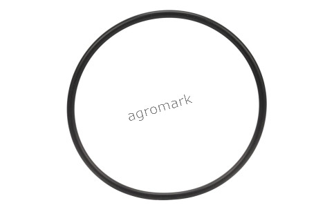 O-ring