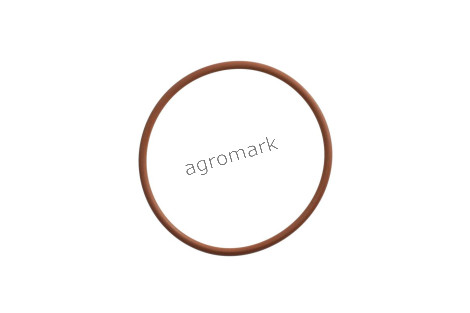 O-ring