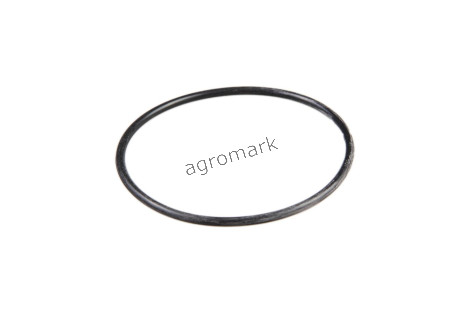 O-ring