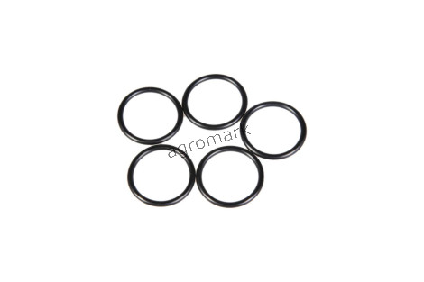 O-RING