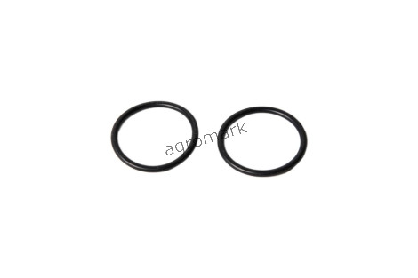 O-RING