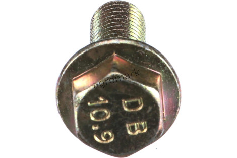 Śruba
