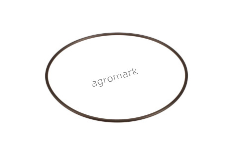 O-ring