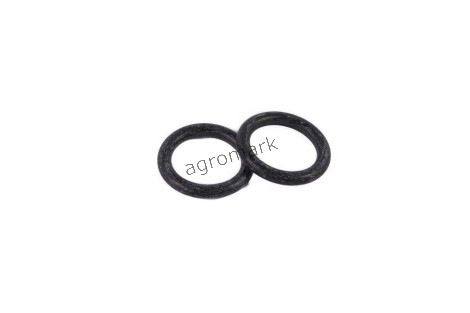 O-ring