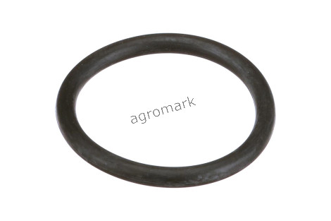 O-ring