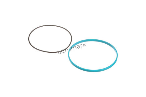 O-RING