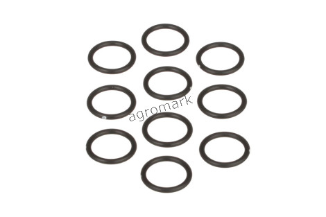 O-ring