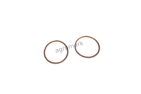 O-ring