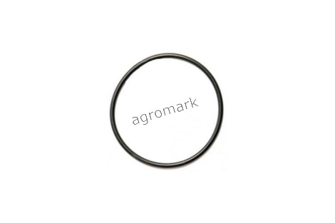 O-ring