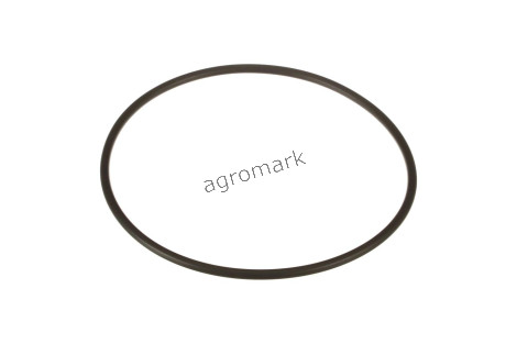 O-ring