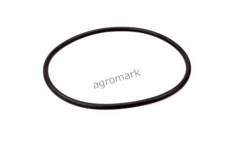 O-ring