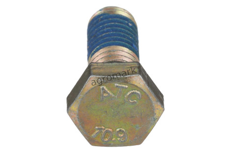 Śruba