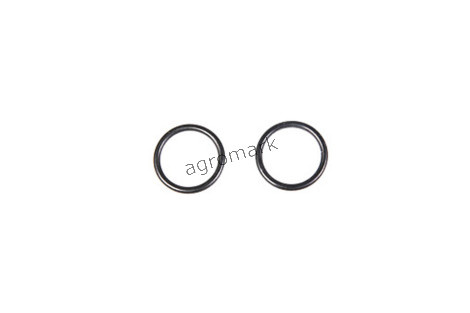 O-ring