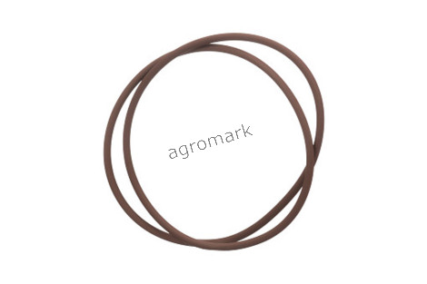 O-ring