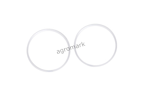 O-ring