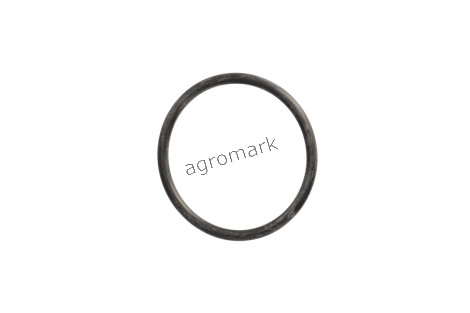 O-ring