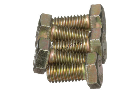 Śruba
