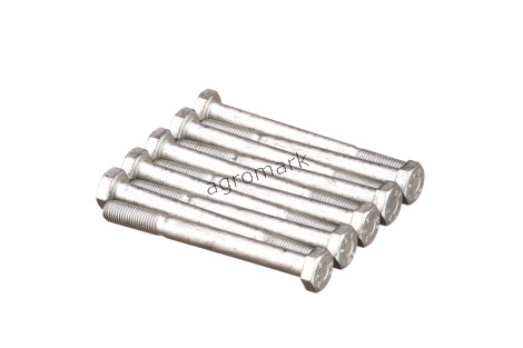 Wkręt M10 1,25x100 mm