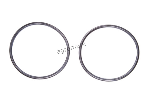 O-ring