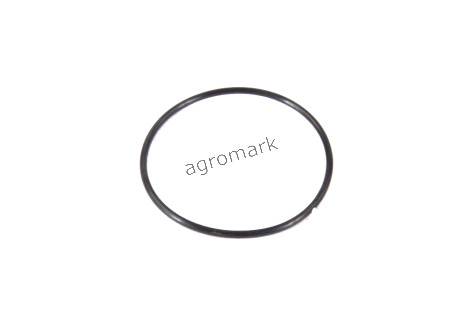 O-ring