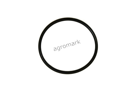 O-ring