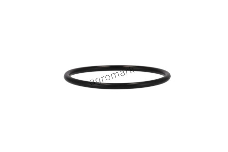 O-ring