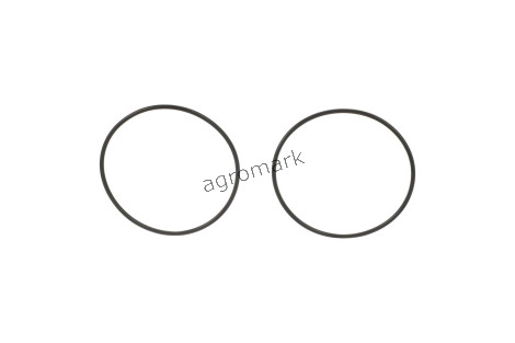 O-ring