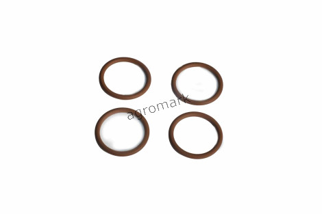 O-ring