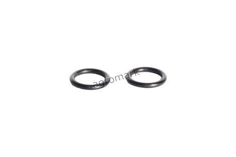 O-ring