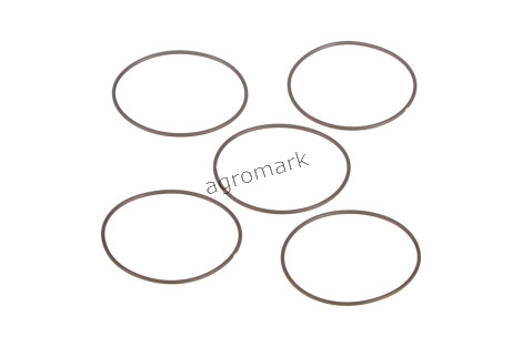 O-ring