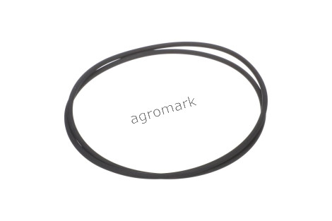 O-ring